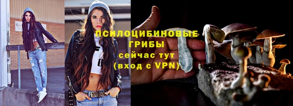 метамфетамин Богданович